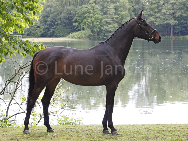 Montjuic Foto © Lune Jancke